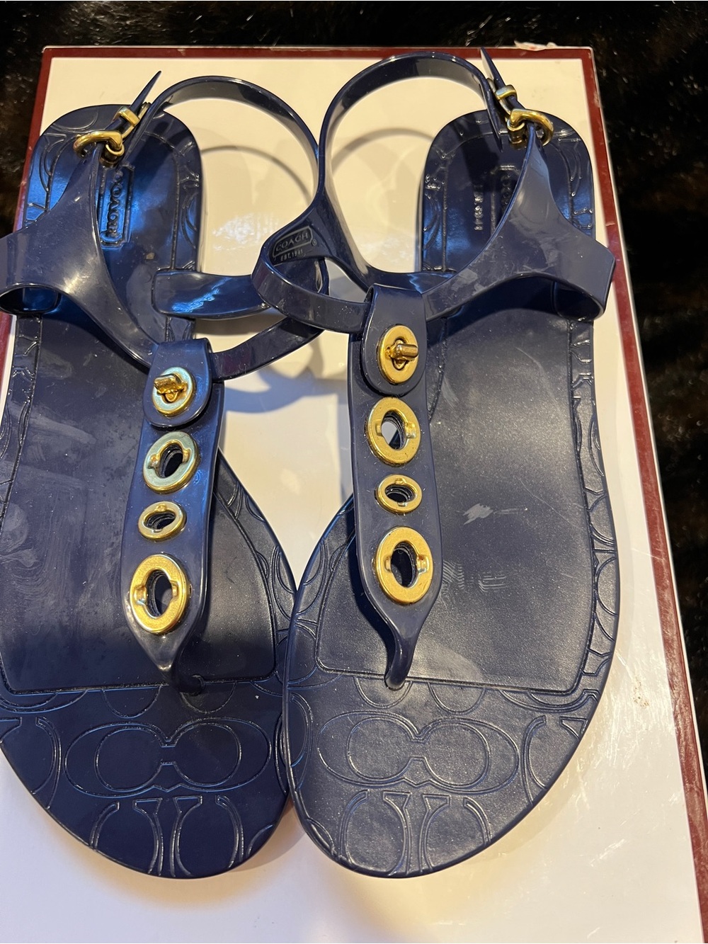 Coach Navy Jelly T-Strap Sandals with Gold Grommet Details